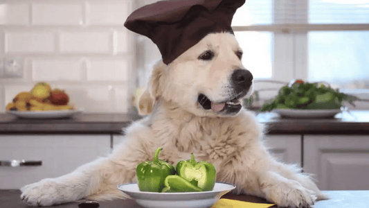 Can Dogs Eat Green Peppers