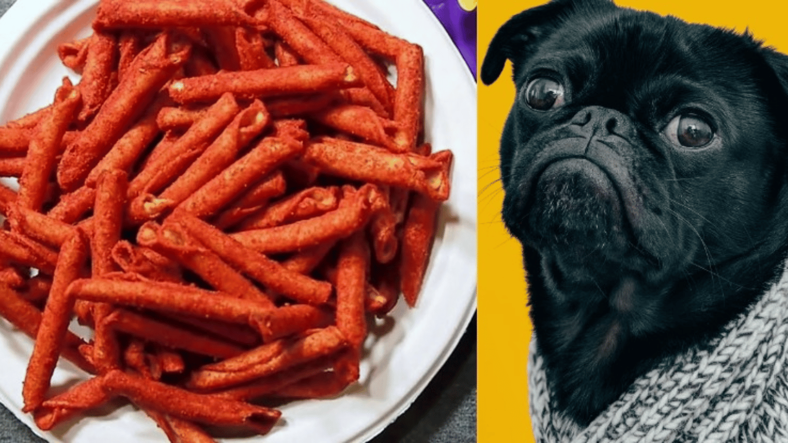 Can Dogs Eat Takis? Takis and Canines Understanding the Dangers