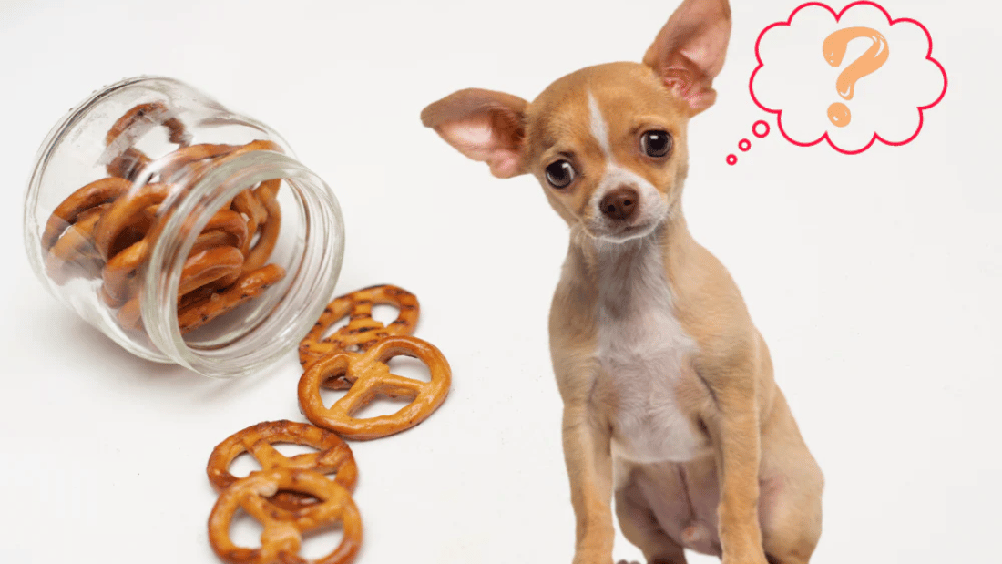 can dogs eat pretzels