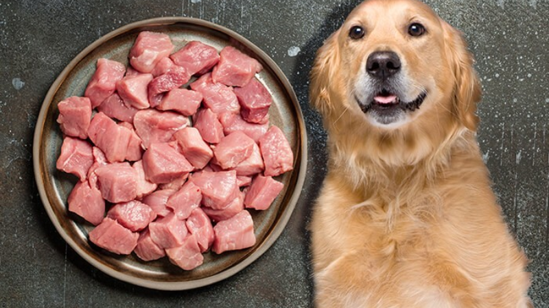 Can Dogs Eat Pork Safely? -What Every Pet Owner Should Know