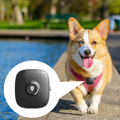 GPS Locator To Prevent Stray Pet Cat And Dog