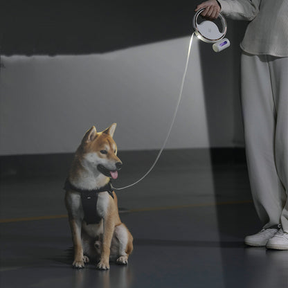 Automatic Lighting Retractable Dog Leash
